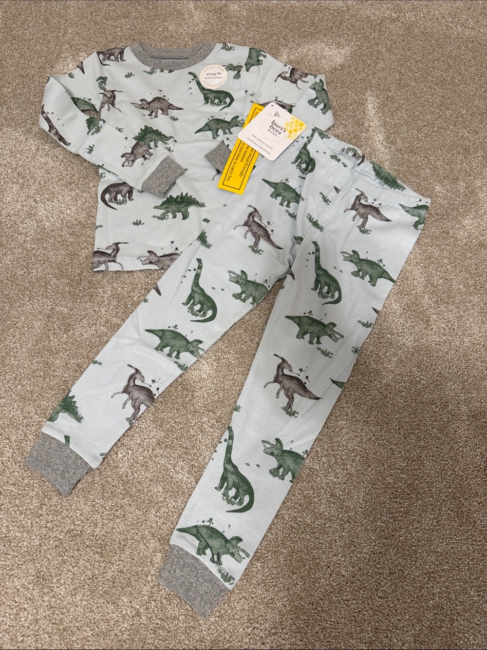 Burt's Bees Baby Light Gray & Green Dinosaur Kids Pajama Set